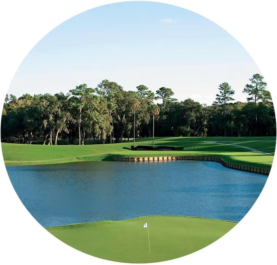 USA Florida Golf Course Canvas Wall Art for Office TPC Sawgrass Golf Course Pictures Posters Wall Decor for Living Room Bedroom Bathroom Home Decorations Framed Ready to Hang(14''W x 28''H x3)