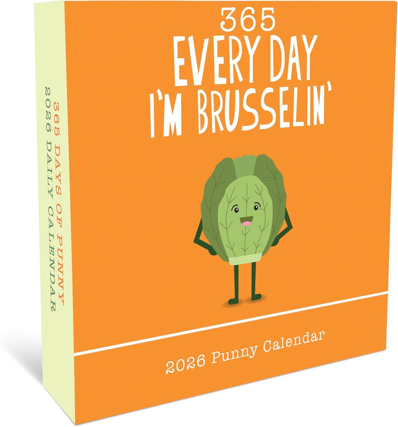 365 Daily Desk Calendar for 2026 by Graphique, Day to Day Calendar for Home or Office, Tear Off Pages, Punny