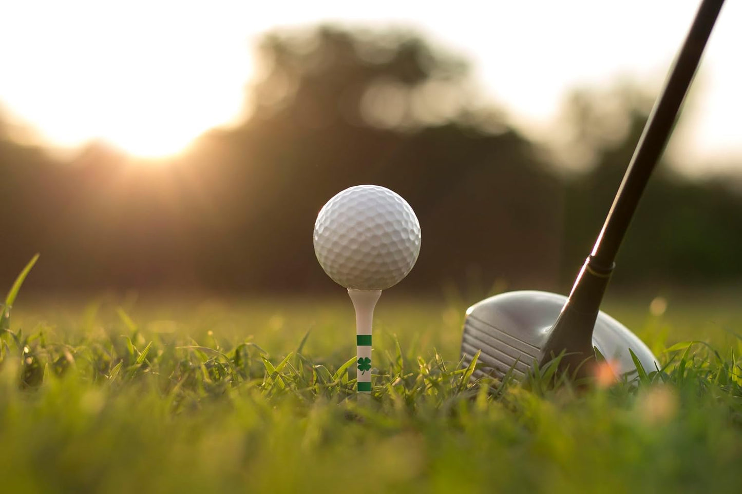 Golf Tees – 3 1/4" Tall – 25 White Golf Tees - Made from Durable Plastic - Golf Accessories for Men and Women - Made in The USA