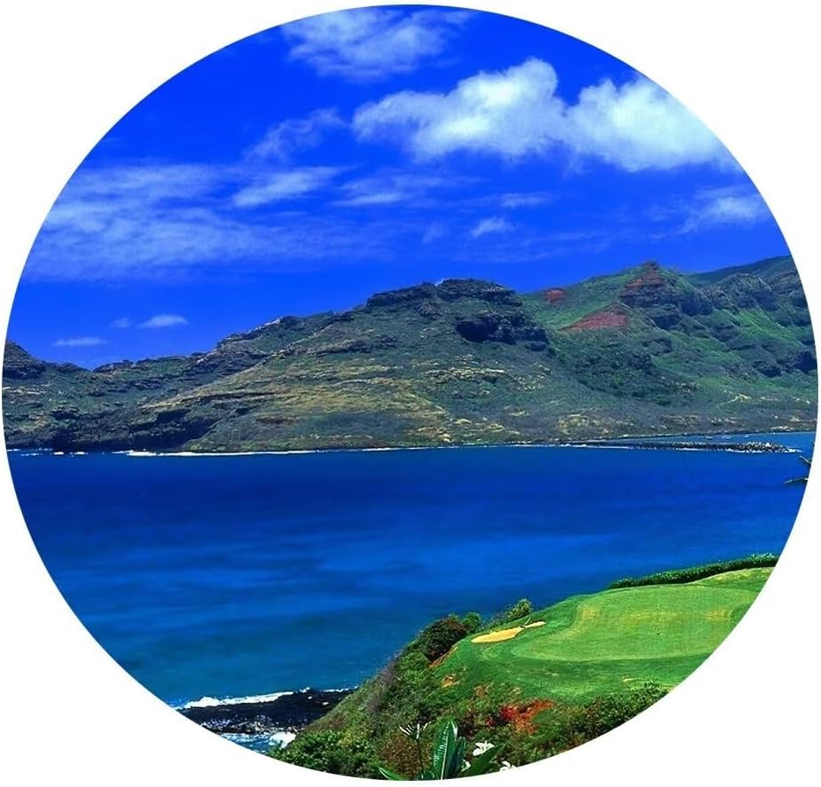 chenchenArt Lagoons Golf Course Wall Art for Living Room Bedroom Home Decorations Golf Course Pictures Posters Canvas Prints Modern Artwork Framed Ready to Hang(12''W x 24''H x3)