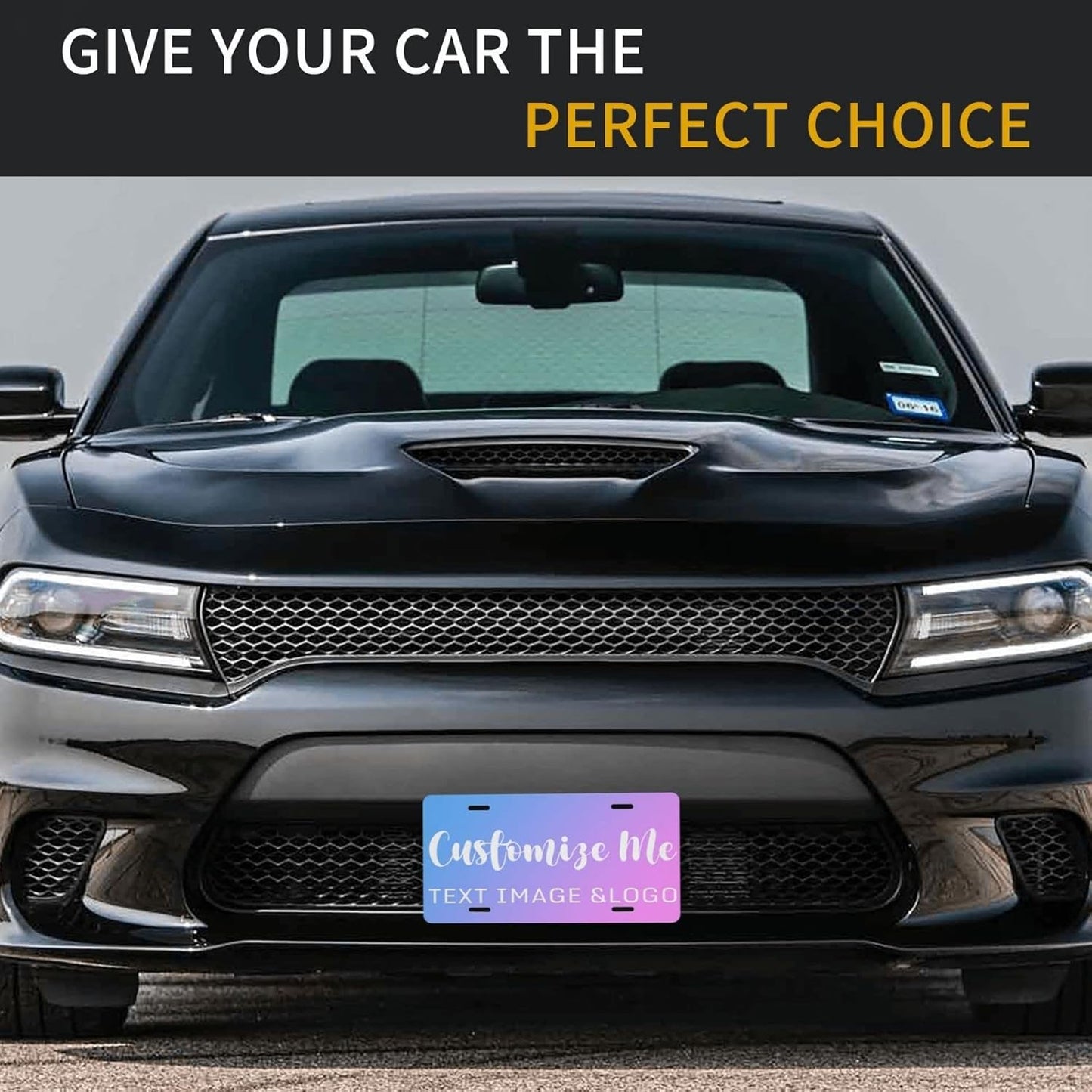 Custom License Plate 4x2/7x4/12x6 Inch Personalized Front License Plate Novelty Customized Car Tags Plates for Front of The Car,12"x6",Style 5