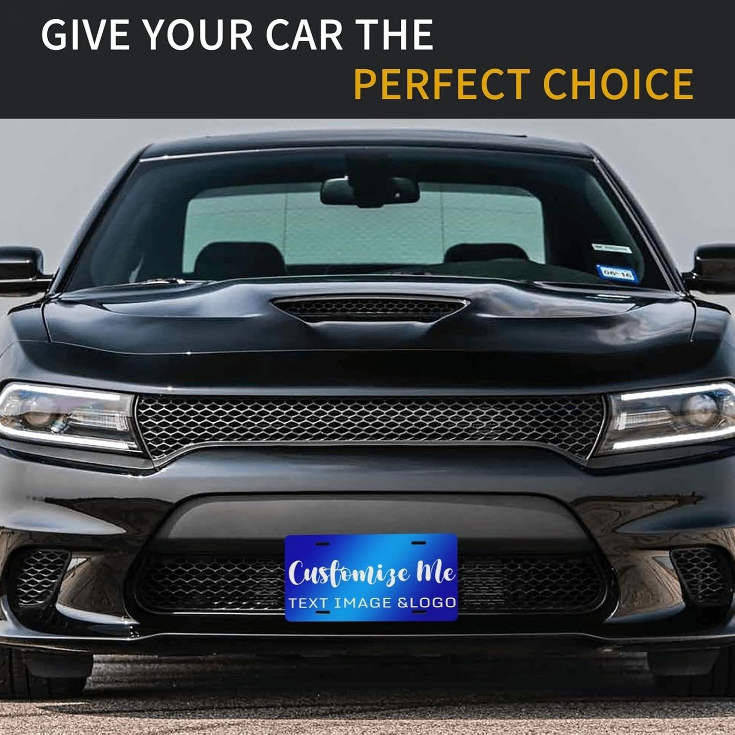 Custom License Plate 4x2/7x4/12x6 Inch Personalized Front License Plate Novelty Customized Car Tags Plates for Front of The Car,12"x6",Style 2