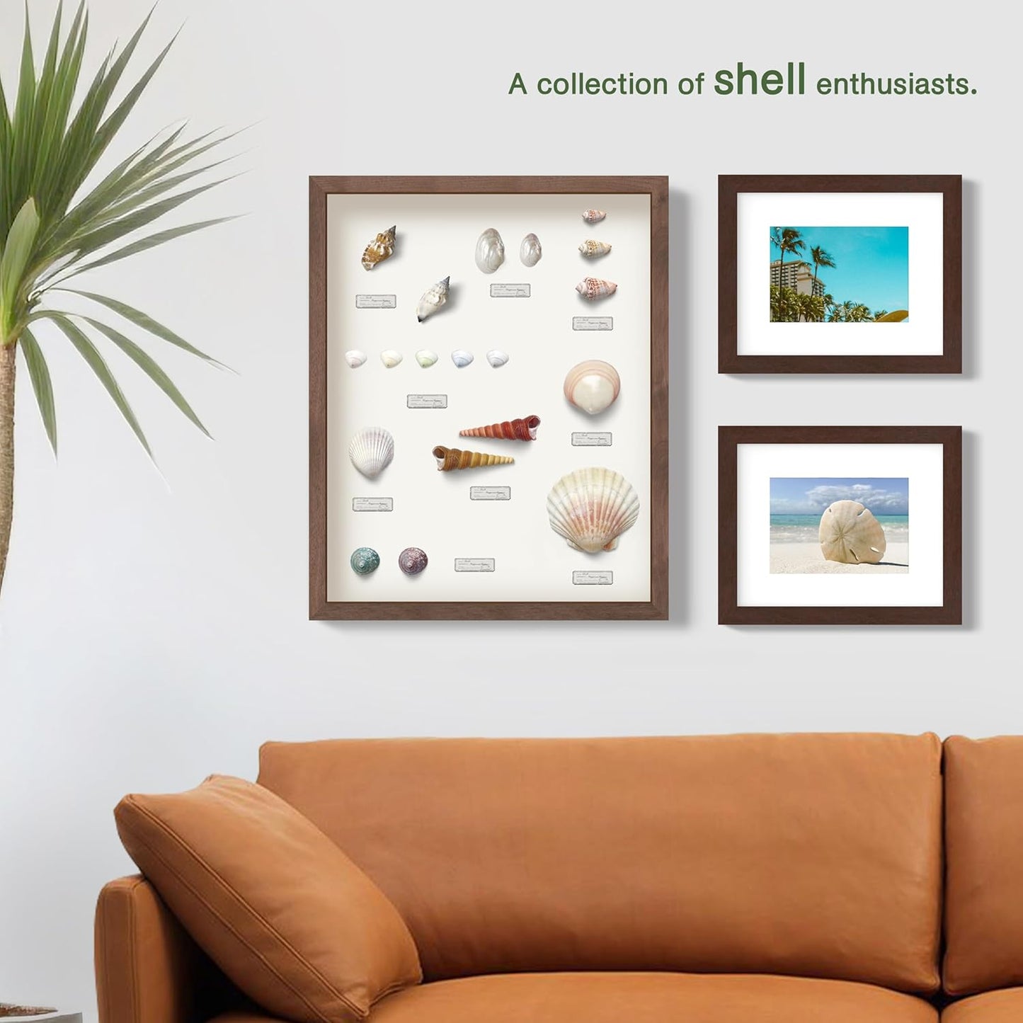 FrameWorks 16" x 20" Original Mahogany Wooden Shadow Box Frame – Soft Felt Back, Tempered Glass, and Included Elegant White Ball Push Pins