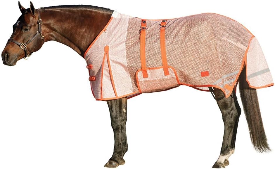 Horse Blankets & Sheets