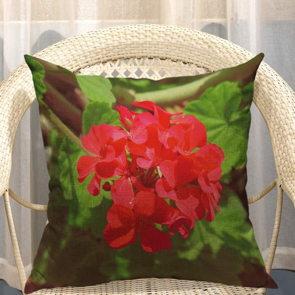 Mugod Pelargonium Throw Pillow Cover Geranium Elegant Flowers Leaf Floral Red Green Cotton Linen Square Cushion Cover Standard Pillowcase 18x18 Inch for Home Decorative Bedroom/Living Room/Car
