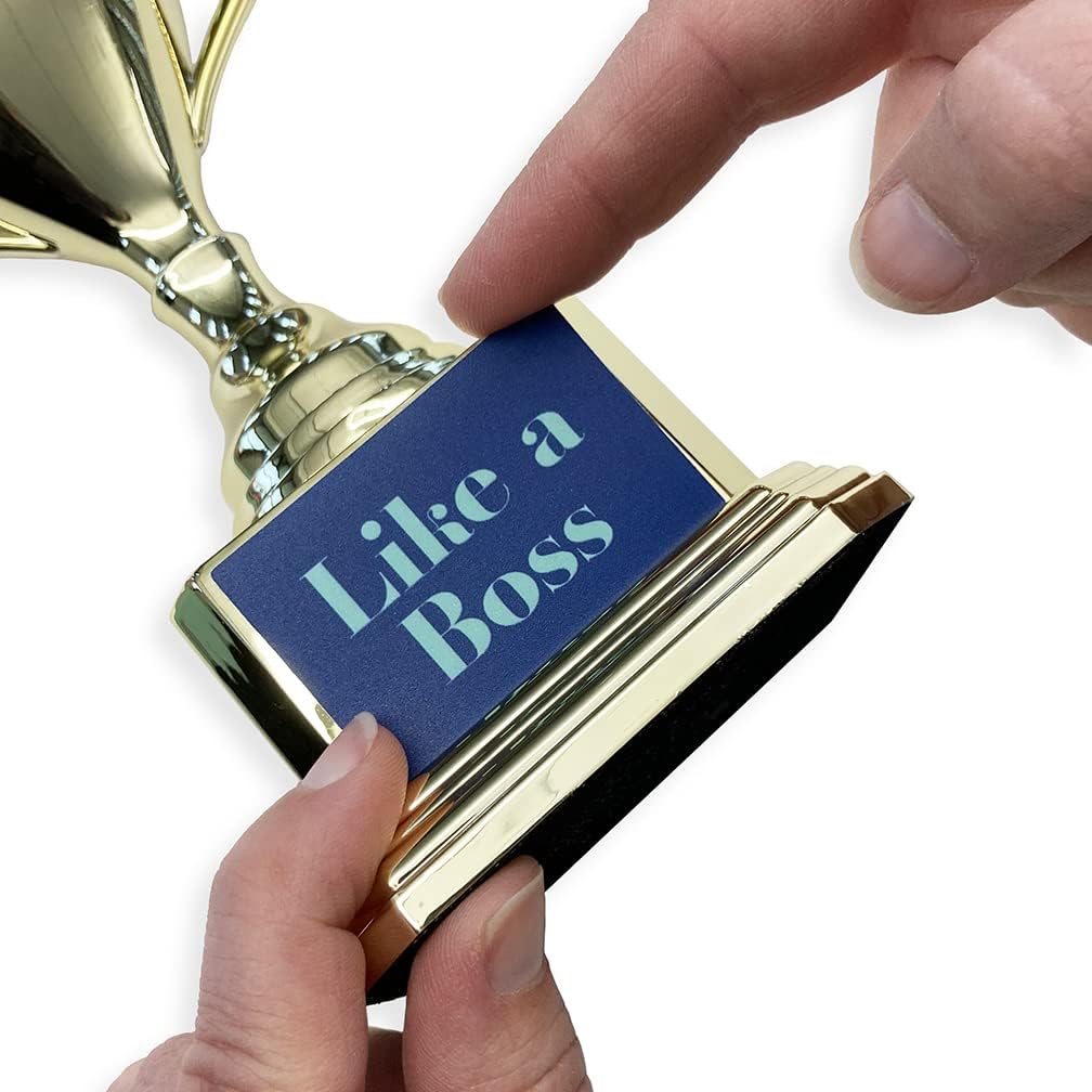 Customizable Novelty Trophy Cup Holographic, Funny Humor Gift, Rewards, Prizes, Award, Winning, Celebrations, Party, Reusable - 8" H x 3.25" W
