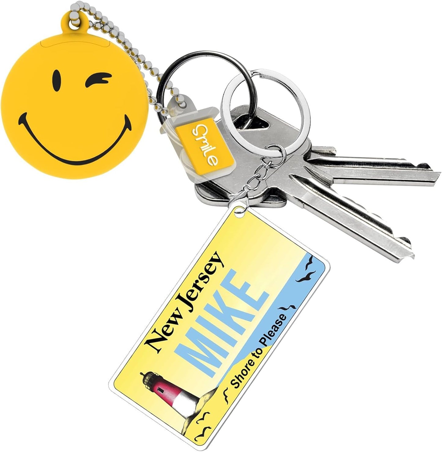 License Plate Keychain,Custom Florida State License Plate Key Chains - Select from All 50 States - Personalized Customizable Car Tag Key Chain,Metal Customized Car Tag Keychain
