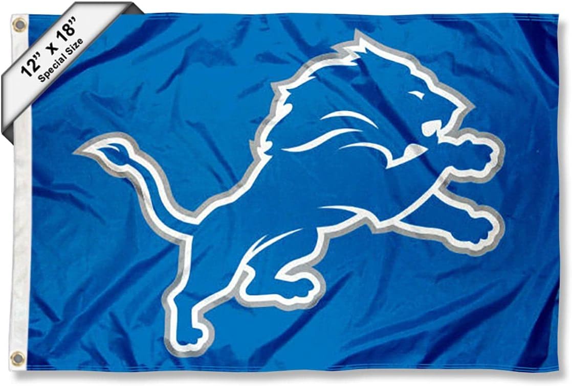 Detroit Lions Boat and Golf Cart Pennant Flag