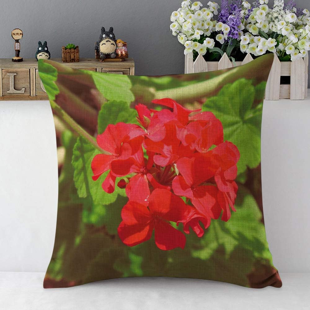 Mugod Pelargonium Throw Pillow Cover Geranium Elegant Flowers Leaf Floral Red Green Cotton Linen Square Cushion Cover Standard Pillowcase 18x18 Inch for Home Decorative Bedroom/Living Room/Car