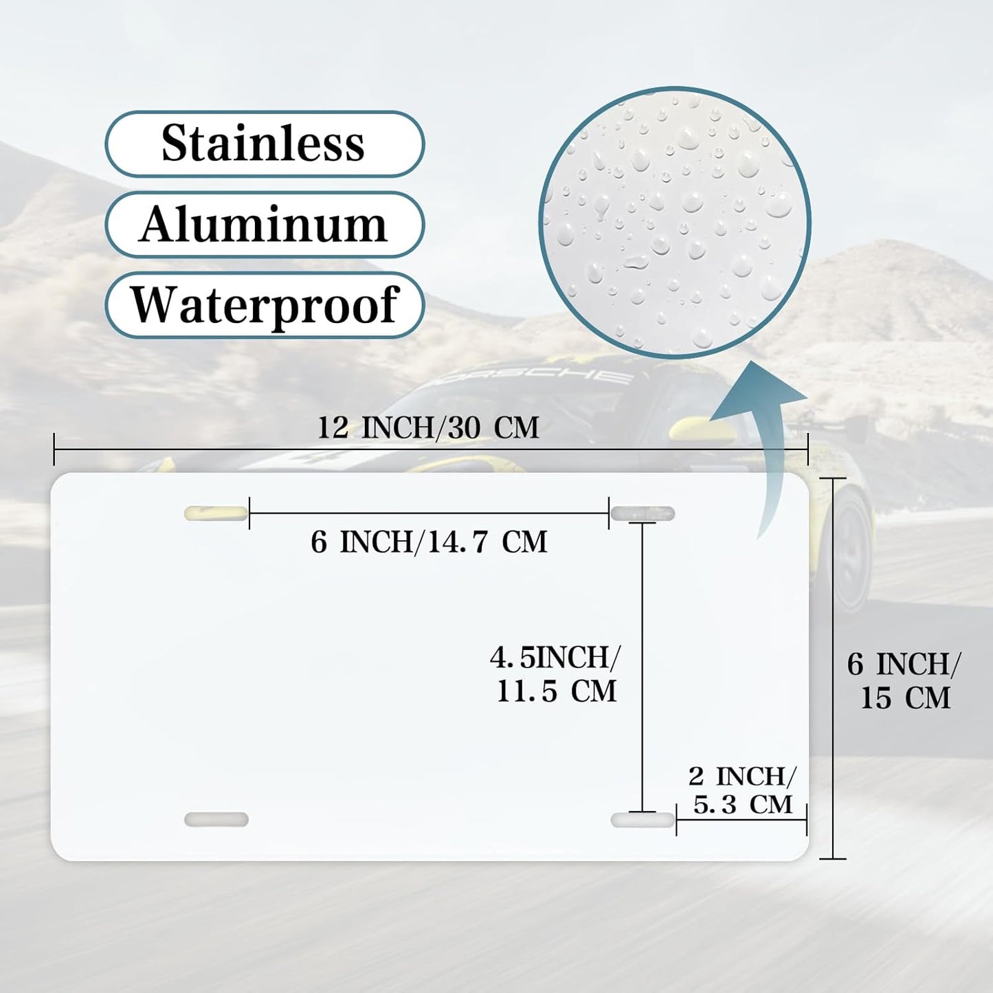 Vintage Sport Metal Tin Sign Hockey License Plate Wall Decor for Home Cafe Bar Pub 12 x 6 Inches