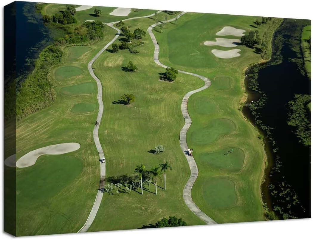 chenchenArt Florida Community Golf Course Wall Art for Living Room Bedroom Bathroom Home Decorations Golf Course Picture Poster Canvas Prints Modern Artwork Framed Ready to Hang(12''H x 16''W)