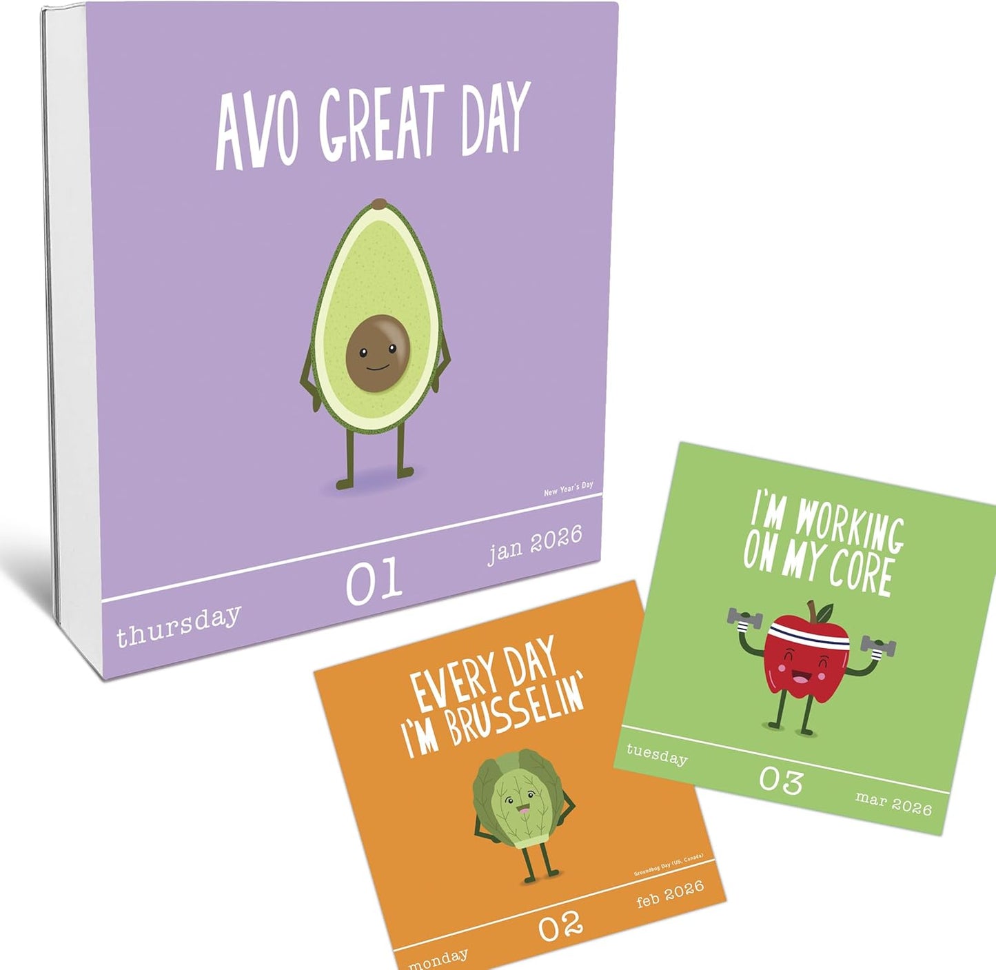 365 Daily Desk Calendar for 2026 by Graphique, Day to Day Calendar for Home or Office, Tear Off Pages, Punny