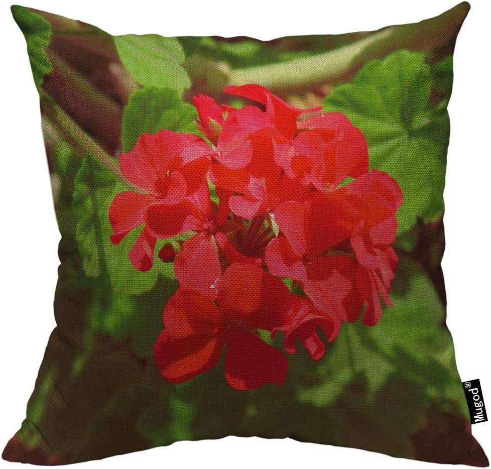 Mugod Pelargonium Throw Pillow Cover Geranium Elegant Flowers Leaf Floral Red Green Cotton Linen Square Cushion Cover Standard Pillowcase 18x18 Inch for Home Decorative Bedroom/Living Room/Car