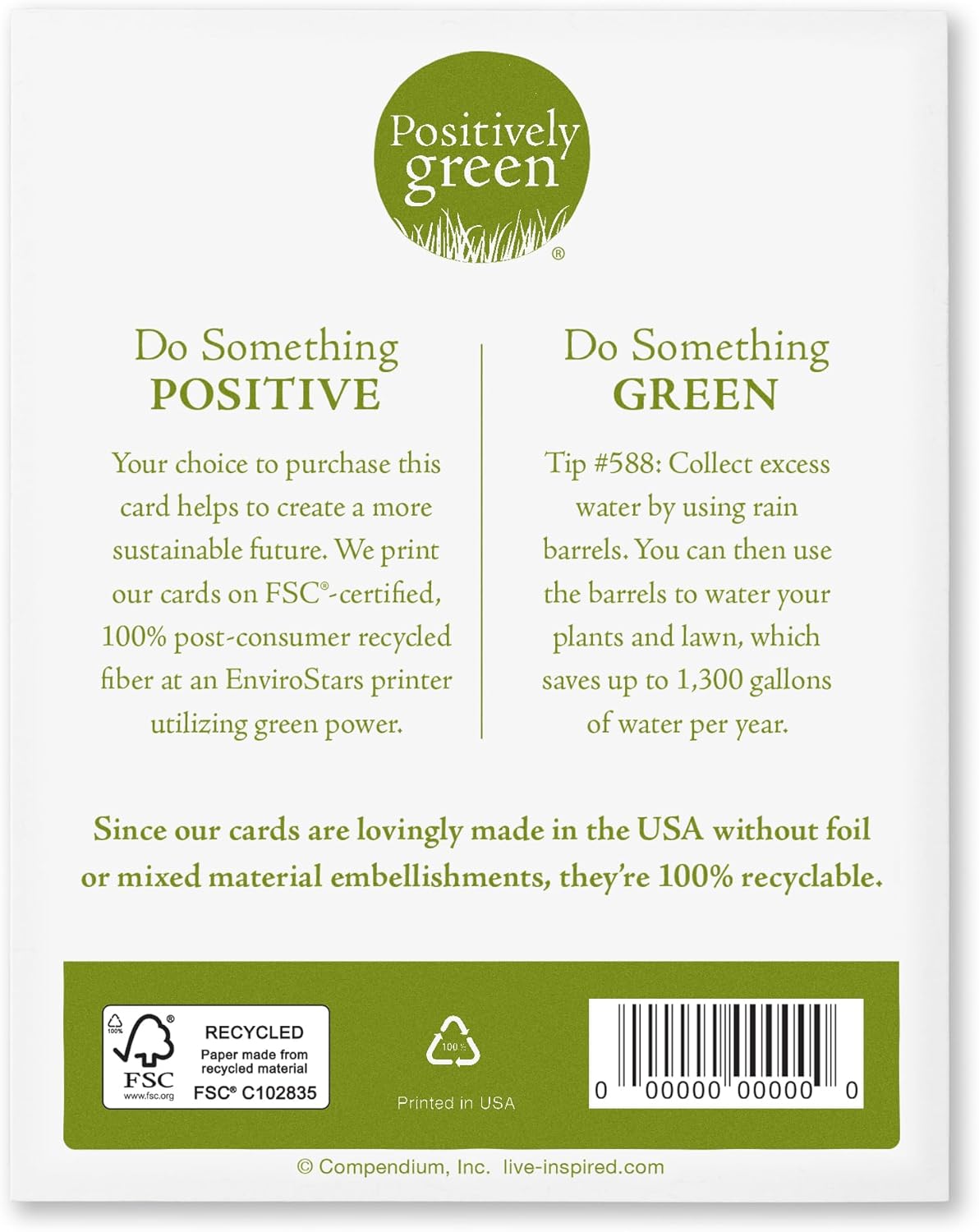 Compendium Positively Green Birthday Cards - 4-Pack with Envelopes, Birthday Joy