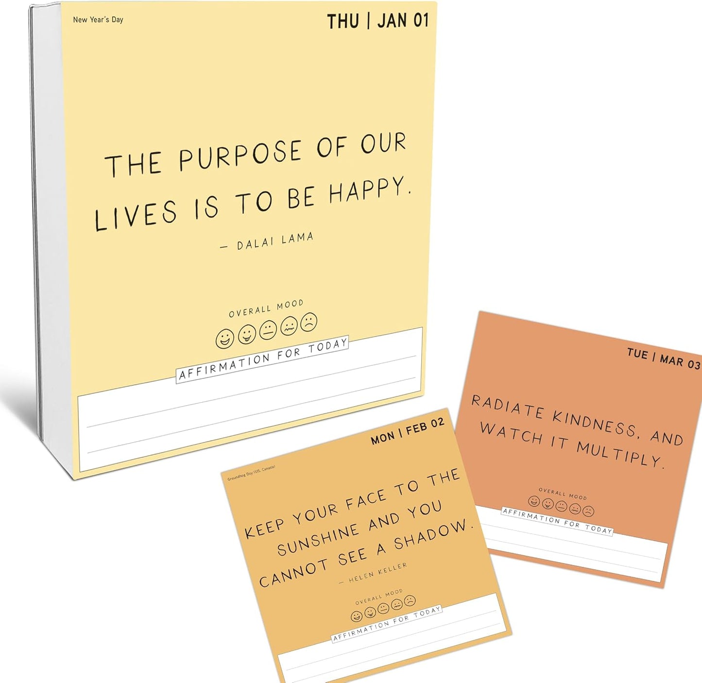 365 Daily Desk Calendar for 2026 by Graphique, Day to Day Calendar for Home or Office, Tear Off Pages (Positivity)