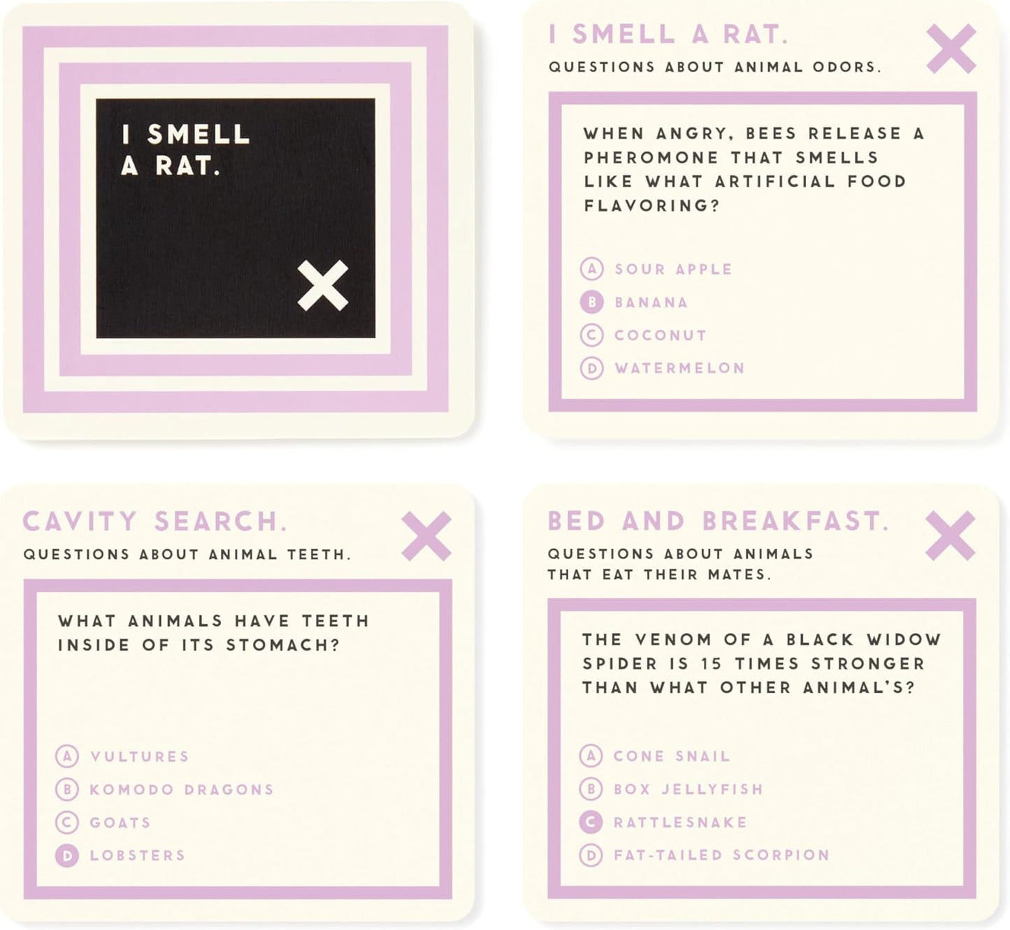 Brass Monkey Useless Animal – Trivia Card Game Set with 200 Unique Questions About All Different Kinds of Animals