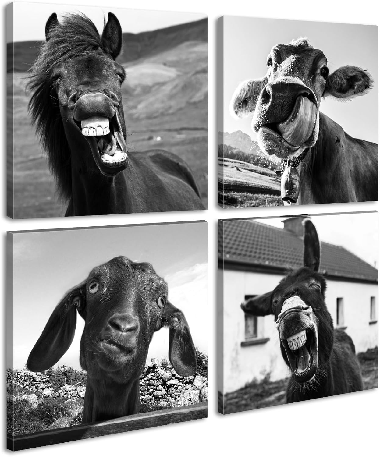 Black and White Wall Art Animal Wall Decor Horse Donkey Sheep Cow Canvas Pictures Prints Funny Decor Posters for Mens Bedroom Office Farmhouse Decoration Stretched Framed Ready to Hang 12×12 inch×4