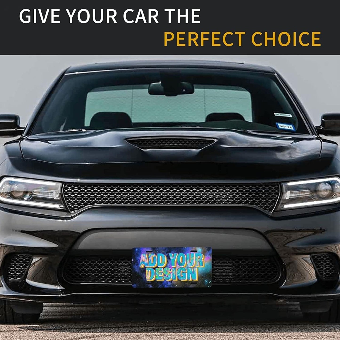 Custom License Plate Add Your Own Personalized Image Name Photo Text Artistic Design Aluminum License Plate Customized USA Car Tag for Front of Car Wall Decoration 6" x 12"