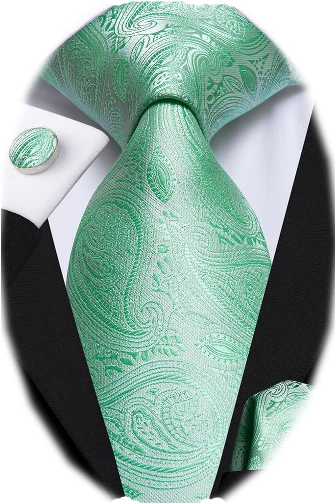 Dubulle Mens Paisley Striped Tie WOVEN Necktie for Men and Handkerchief Cufflinks Set Wedding Formal Business