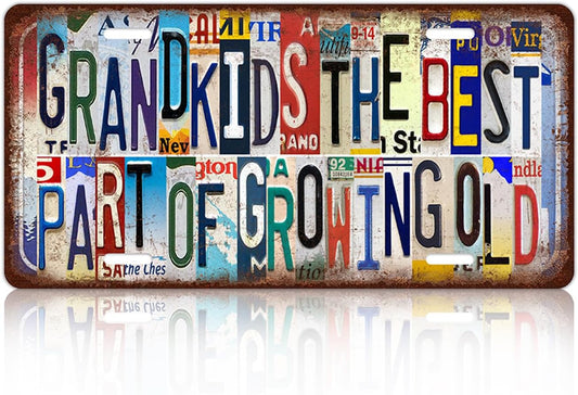 Vintage License Plate Wall Decor Grandkids The Best Part Of Growing Old Metal Tin Sign For Bar Home 12 x 6 Inches