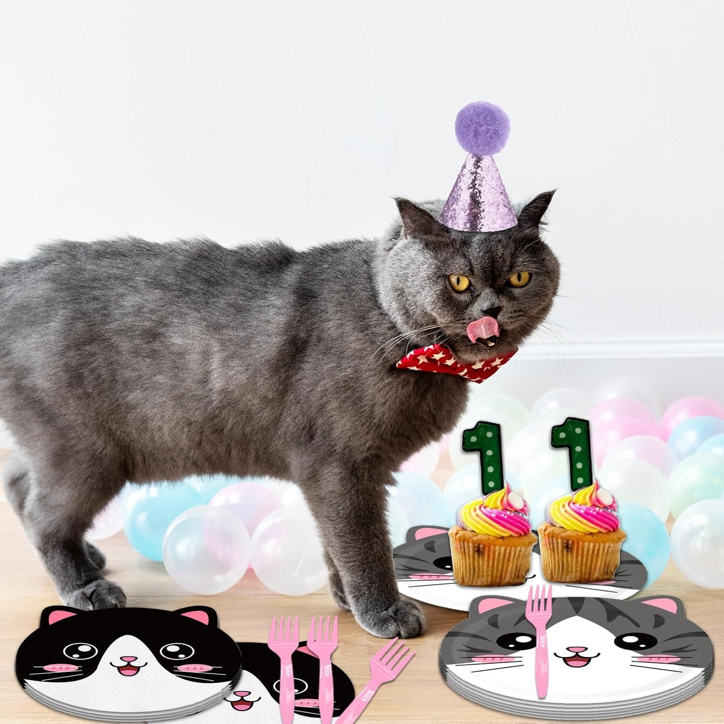 Cat Birthday Party Decorations Disposable Cat Meow Plates and Napkins Forks Supplies Serves 16 Pet Kitten Baby Shower Birthday Party Decorations