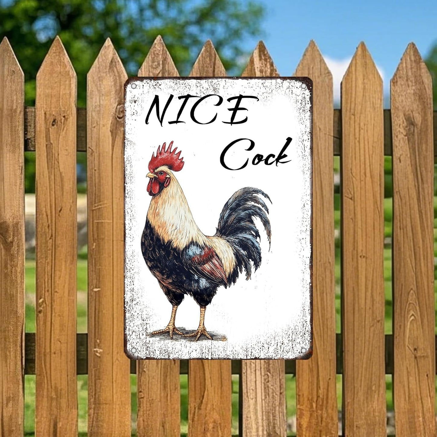 Nice Cock Metal Tin Sign 12x8 Inch Farmhourse Chicken Poster Chicken Tin Sign Home Kitchen Garden Bar Pub Restaurant Are Wall Decor