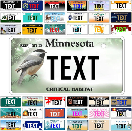 Custom Mini License Plate,Personalized Minnesota Bike License Plate - Select from All 50 States,3 Sizes - Customized Customizable State Car Tag Plates for Kids Bike, Bicycle,Toy Car,4x2 Inch