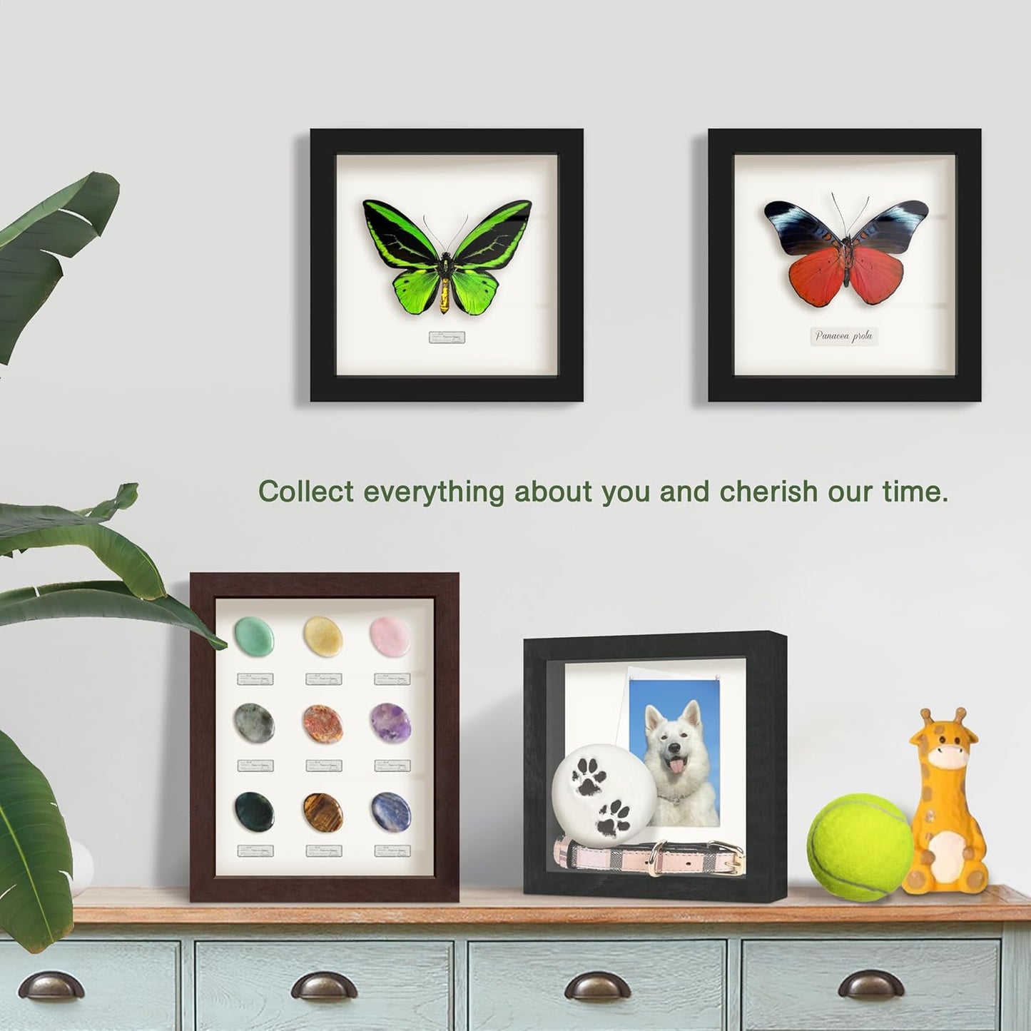 FrameWorks 8x8 Driftwood Wooden Shadow Box Frame – Soft Felt Back, Tempered Glass, and Included Elegant White Ball Push Pins