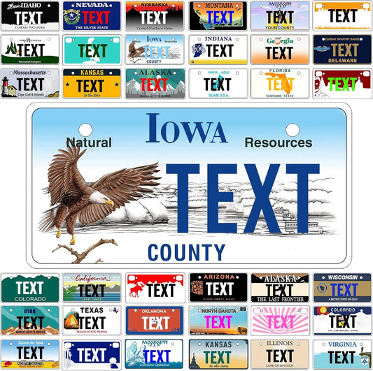 Custom Mini License Plate,Personalized Iowa Bike License Plate - Select from All 50 States,3 Sizes - Customized Customizable State Car Tag Plates for Kids Bike, Bicycle,Toy Car,4x2 Inch
