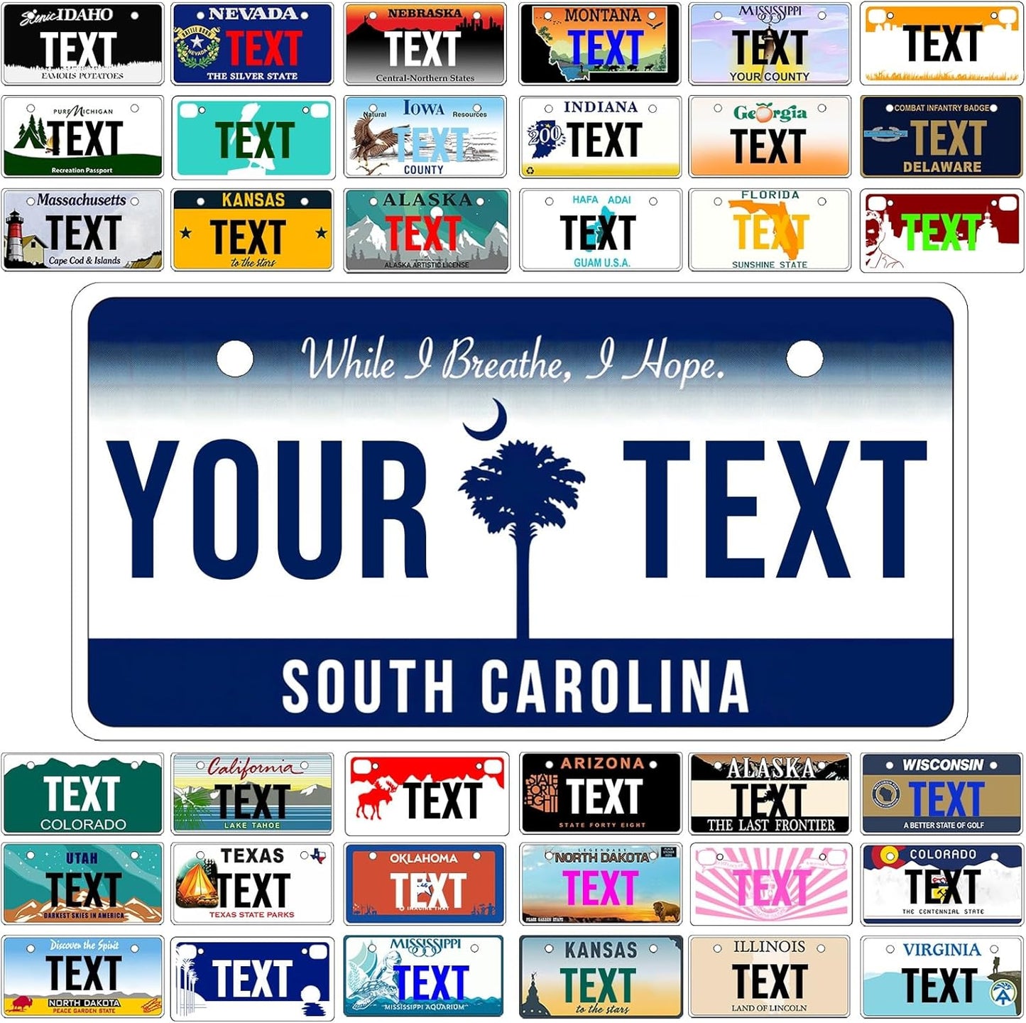 Custom Mini License Plate,Personalized South Carolina Bike License Plate - Select from All 50 States,3 Sizes - Customized Customizable State Car Tag Plates for Kids Bike, Bicycle,Toy Car,4x2 Inch