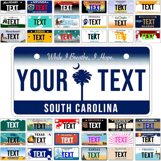 Custom Mini License Plate,Personalized South Carolina Bike License Plate - Select from All 50 States,3 Sizes - Customized Customizable State Car Tag Plates for Kids Bike, Bicycle,Toy Car,4x2 Inch