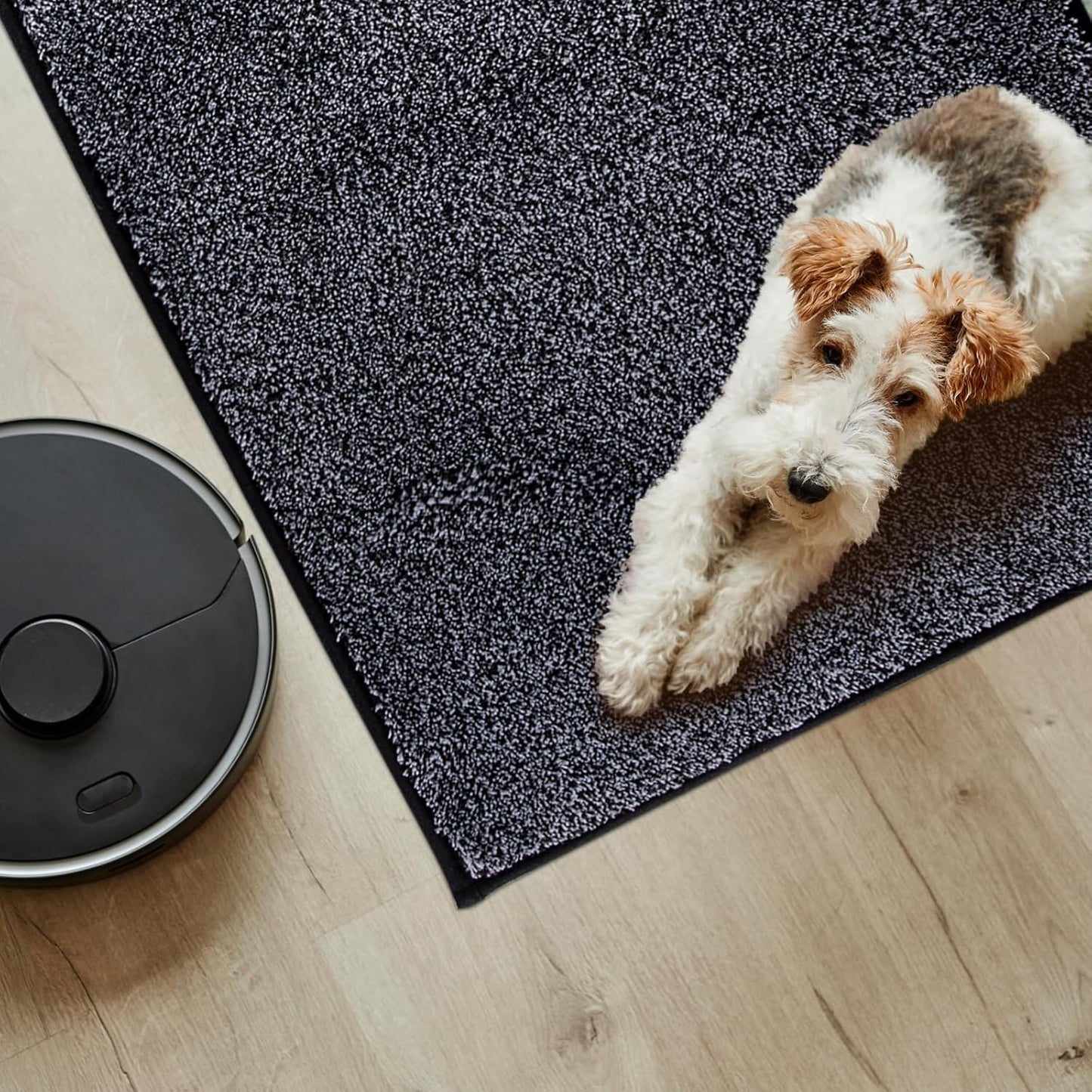PURRUGS Easy Care Area Rug 4.5ft x 7ft, Non-Slip Washable Entryway Rug, Dog Door Mat, Stain Resistant Accent Rug for Hallway, Living Room, Bedroom and Mudroom, Bluish Grey-Black