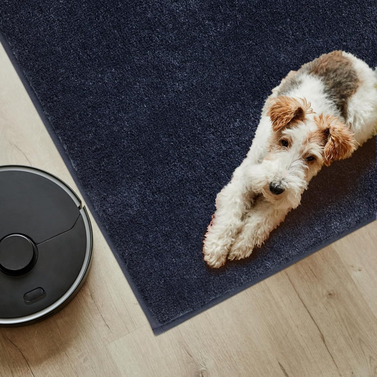 PURRUGS Easy Care Area Rug 4.5ft x 7ft, Non-Slip Washable Entryway Rug, Dog Door Mat, Stain Resistant Accent Rug for Hallway, Living Room, Bedroom and Mudroom, Navy Blue
